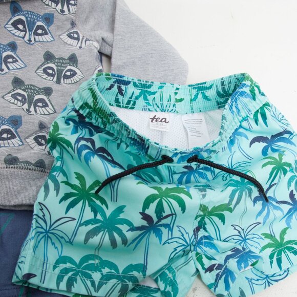 Tea Collection Baby Boy 9–12M Clothing Lot – 5-Pieces Sweatshirt, Trunks,Joggers - Picture 5 of 5